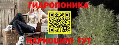 спиды Белореченск