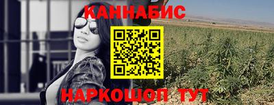 apvp Бердск