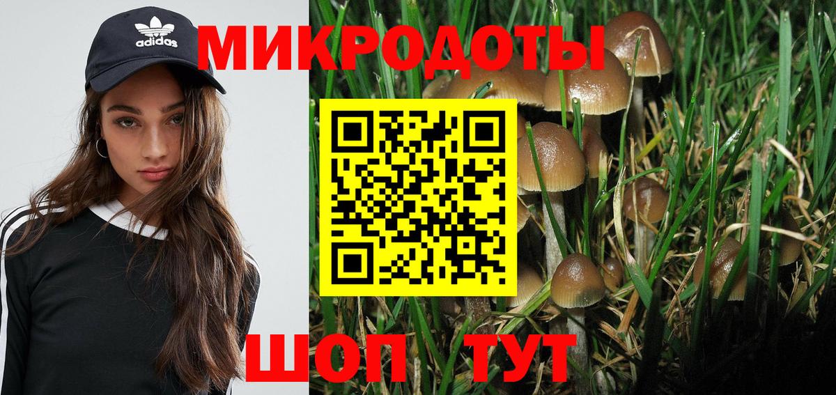 Галлюциногенные грибы Cubensis Лыткарино
