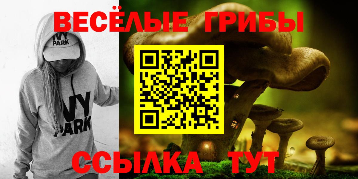 наркота  Вход с VPN  Лыткарино  Псилоцибиновые грибы GOLDEN TEACHER 